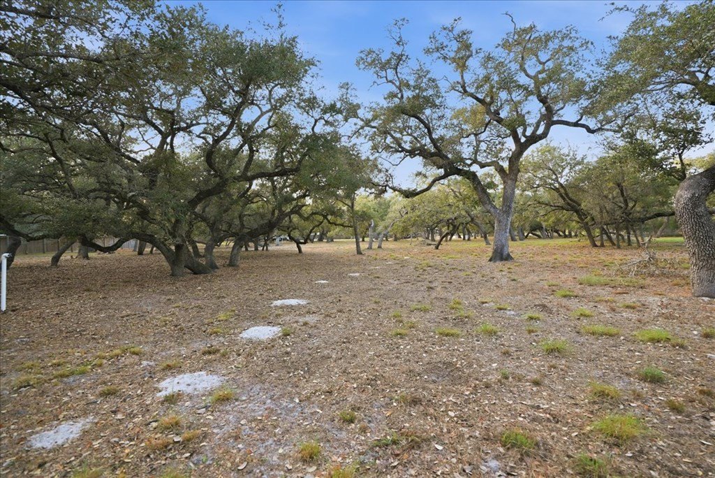 Picture 33