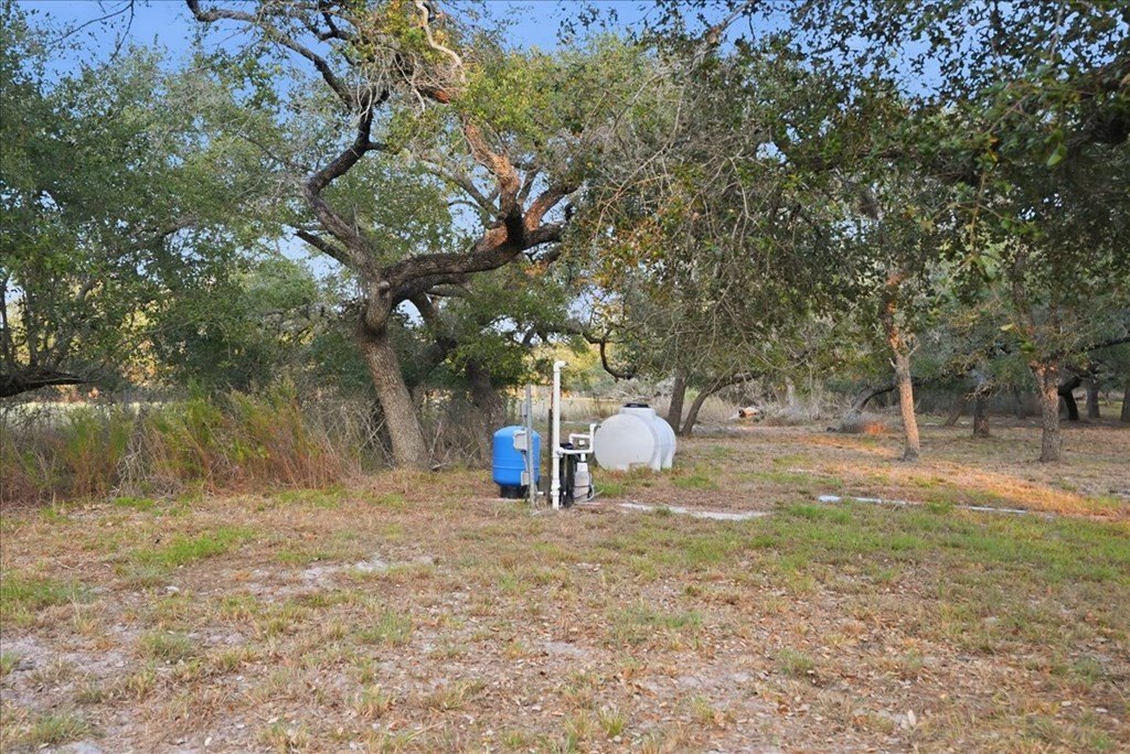 Picture 29