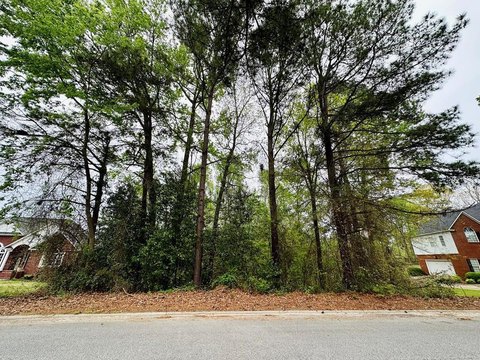 Residential Land in Idlewild Neighborhood