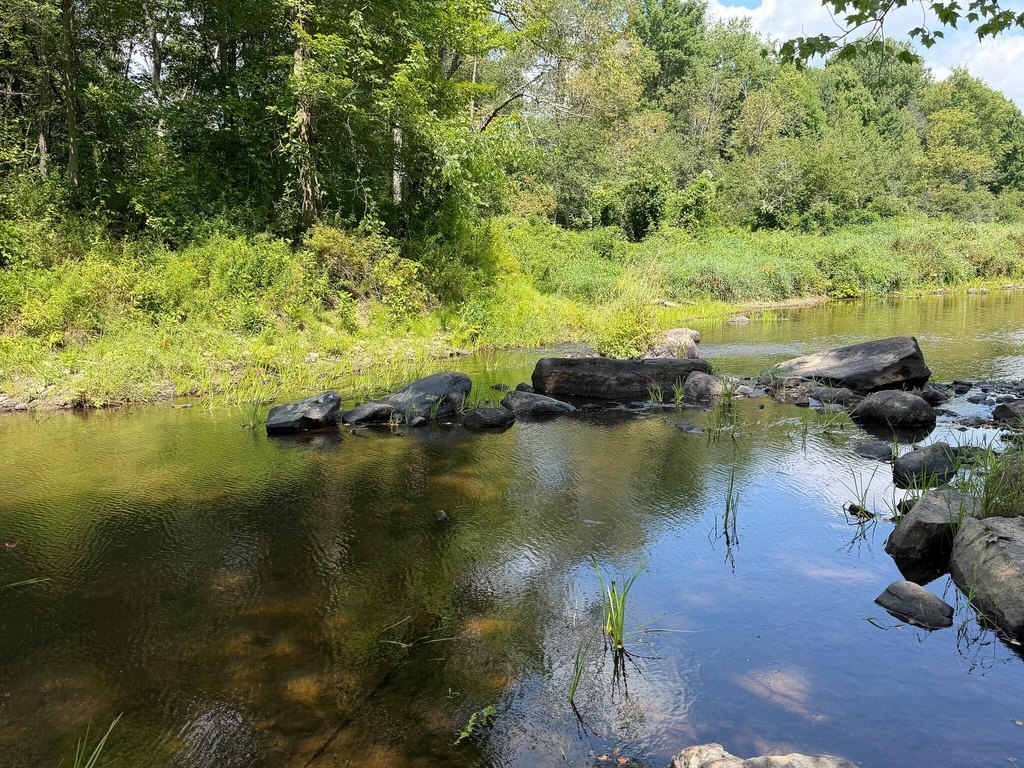 Picture 17