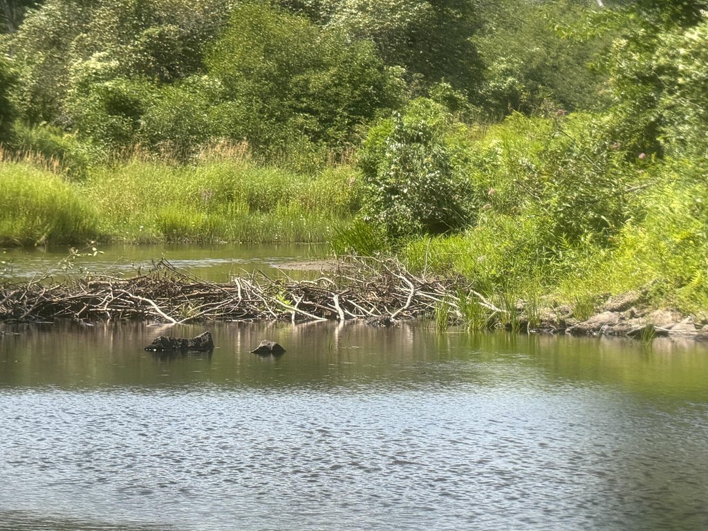 Picture 18