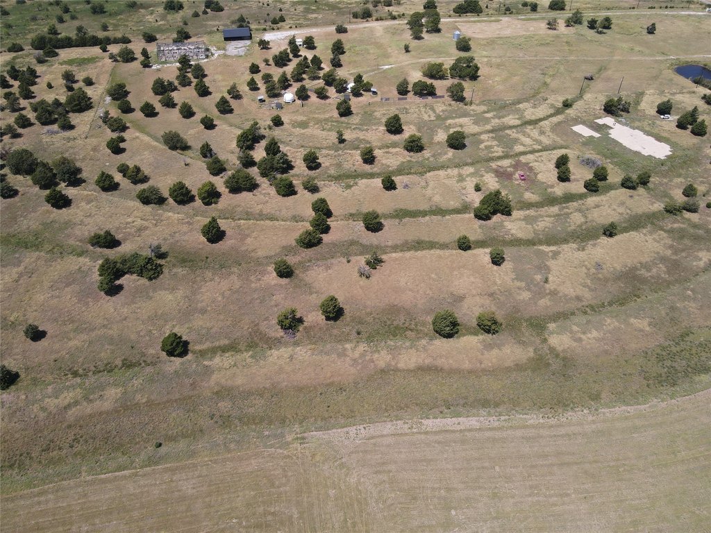Picture 18