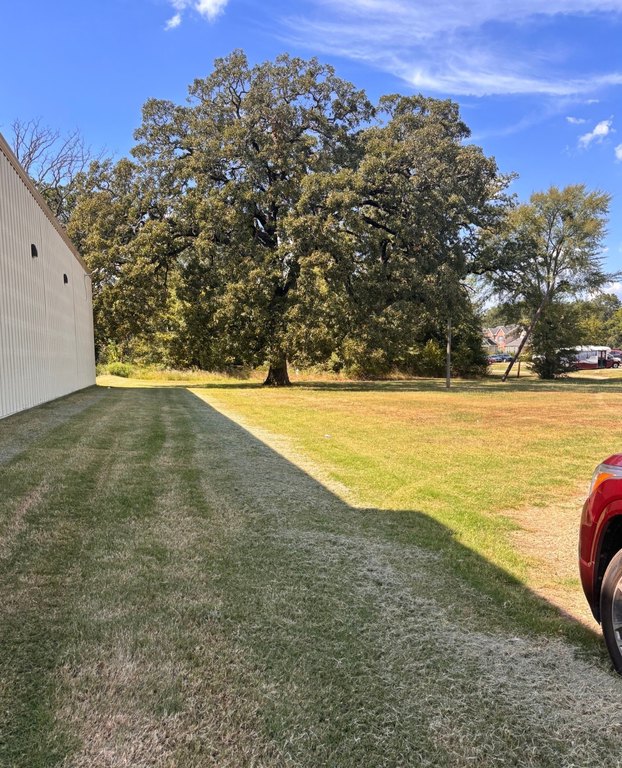 Picture 21