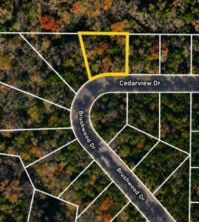Undeveloped Wooded Lot in Cedar Hill