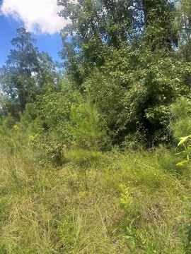 Residential Land in Jonesboro, LA
