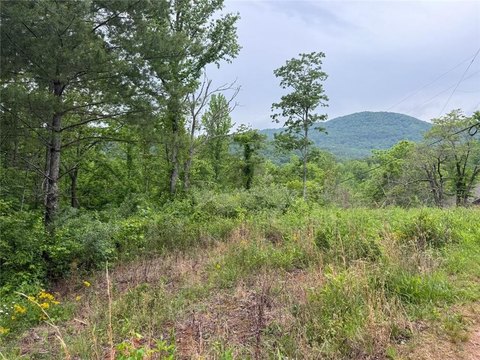 North Georgia Mountain Homesite
