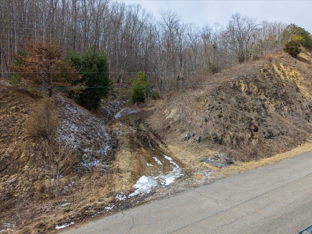 Picture 3