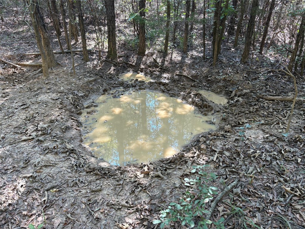 Picture 11