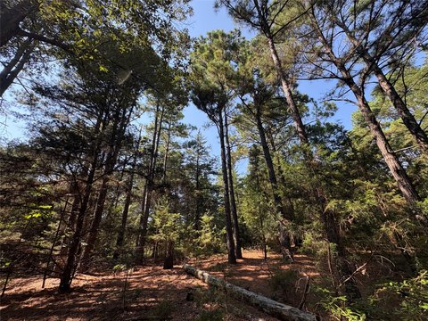 Recreational Timberland Tract