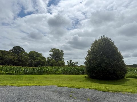 Winding Creek 5.12 Acre Lot