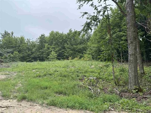 LAND - Petoskey, MI