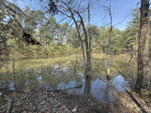 35 Acres with Highway Frontage