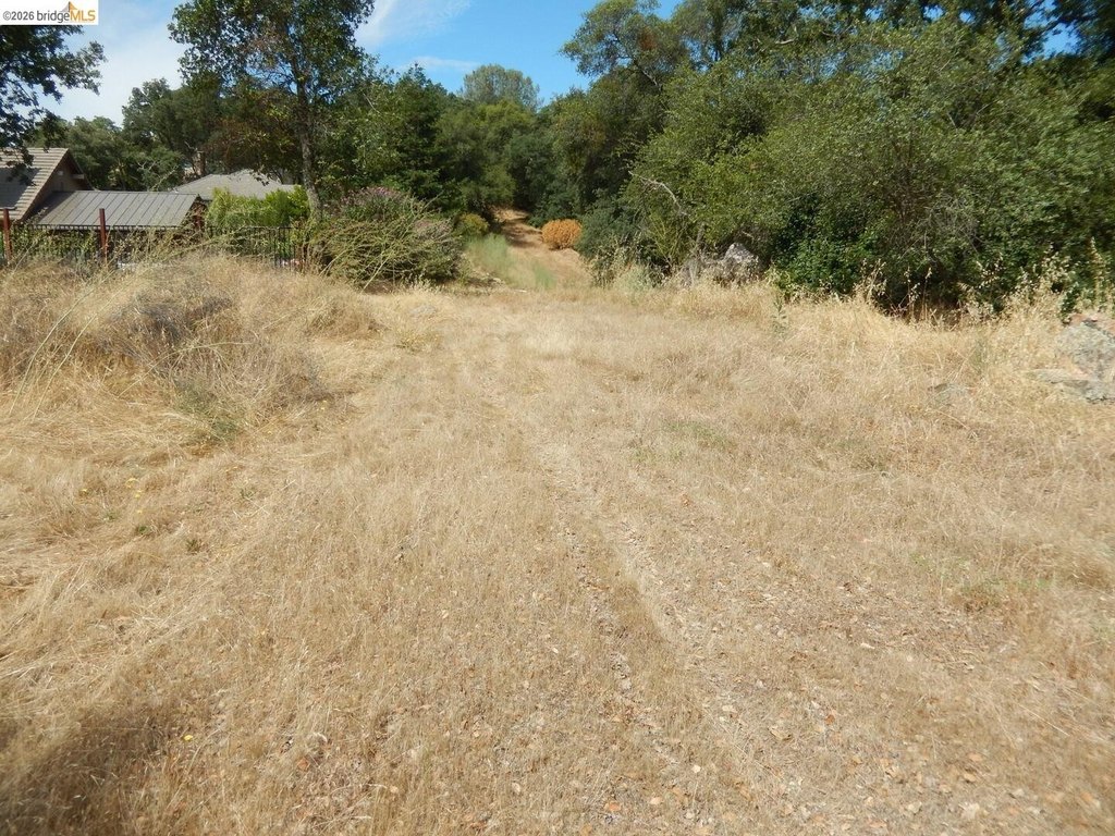 Picture 14