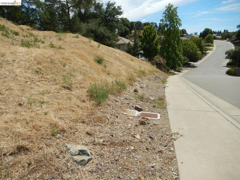 Picture 3