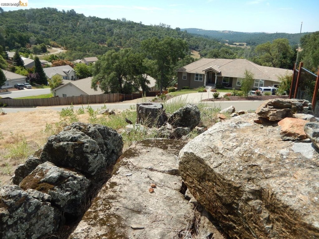 Picture 9