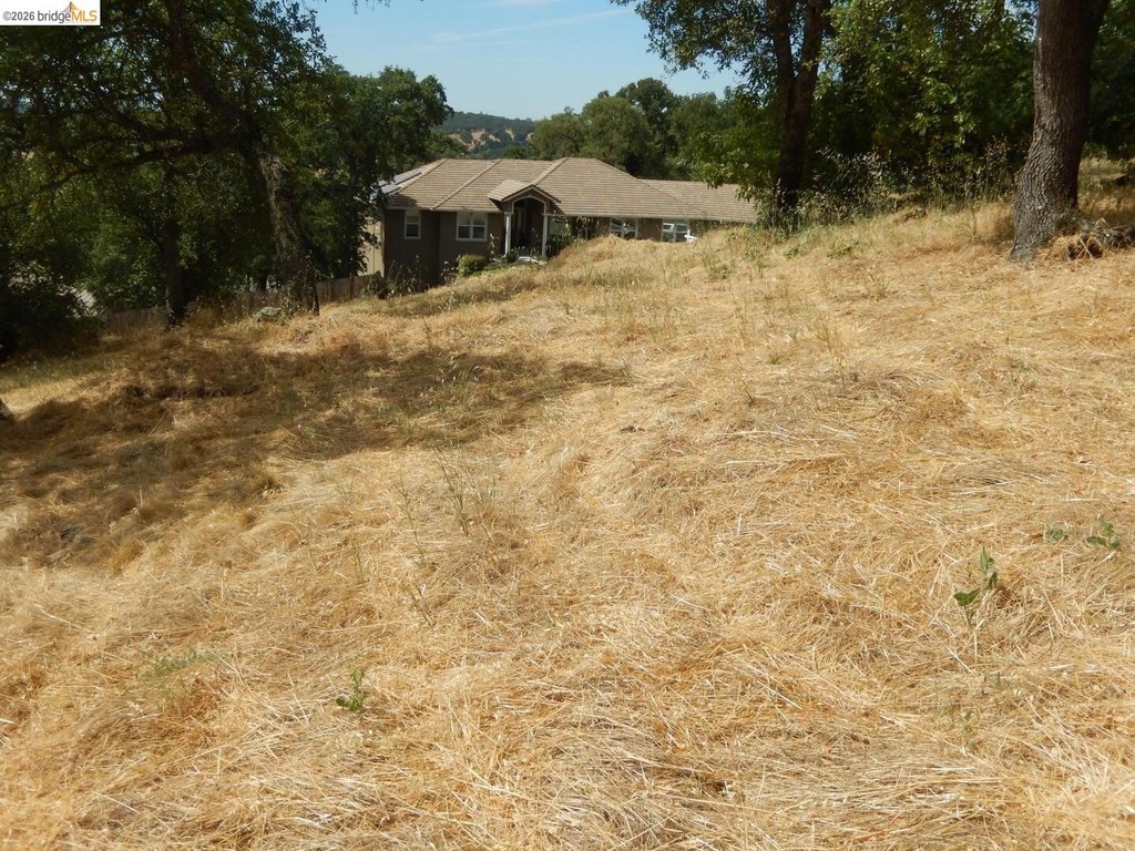 Picture 17