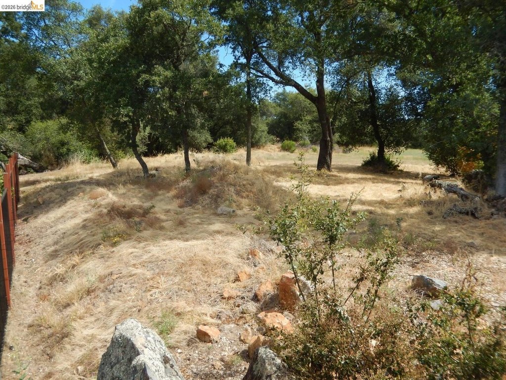 Picture 11