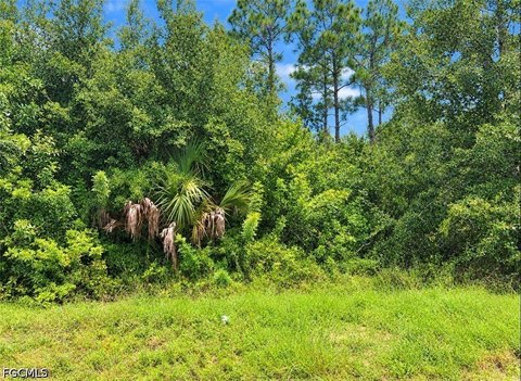 Land, Punta Gorda, FL
