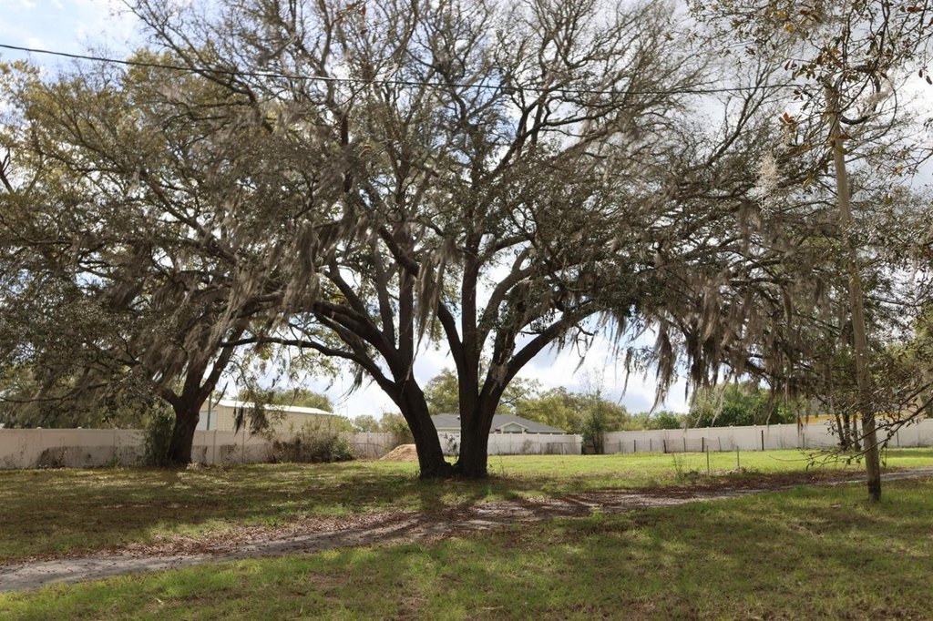 Picture 20