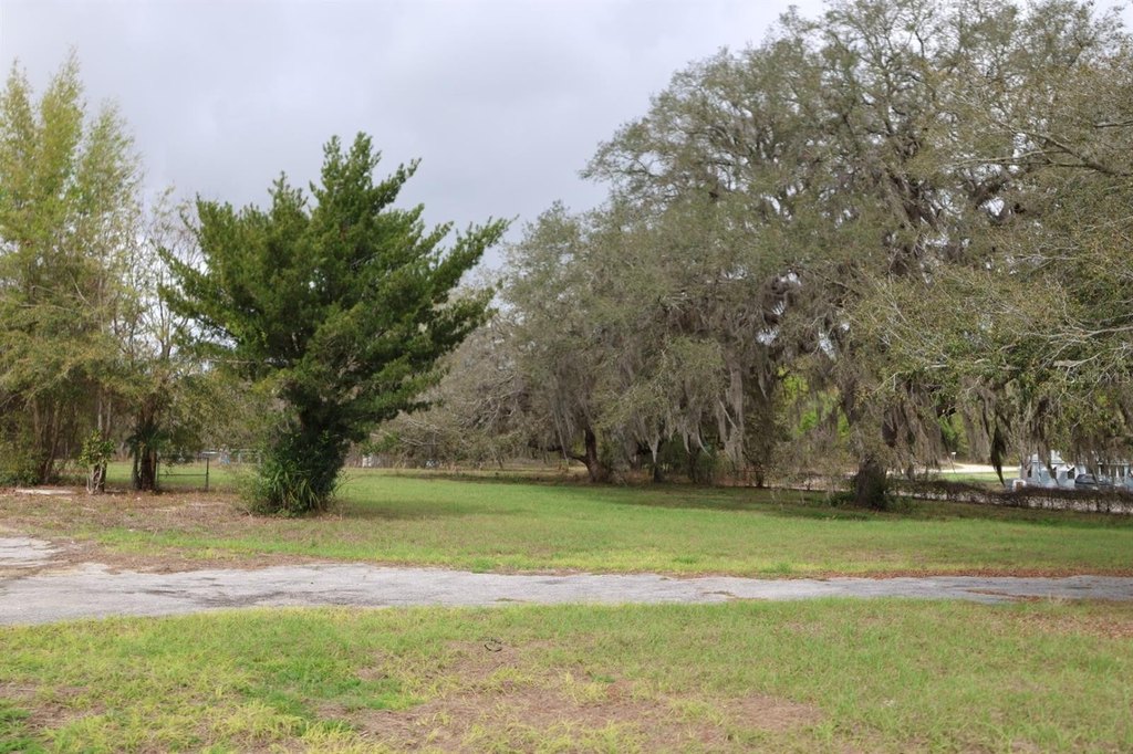 Picture 16