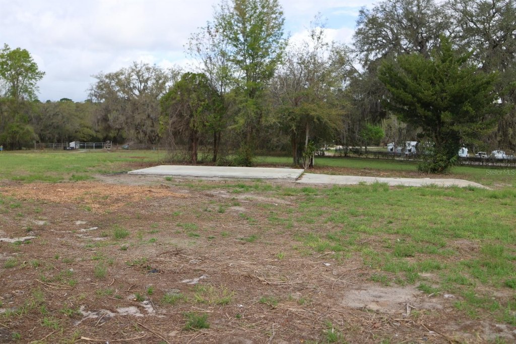 Picture 10
