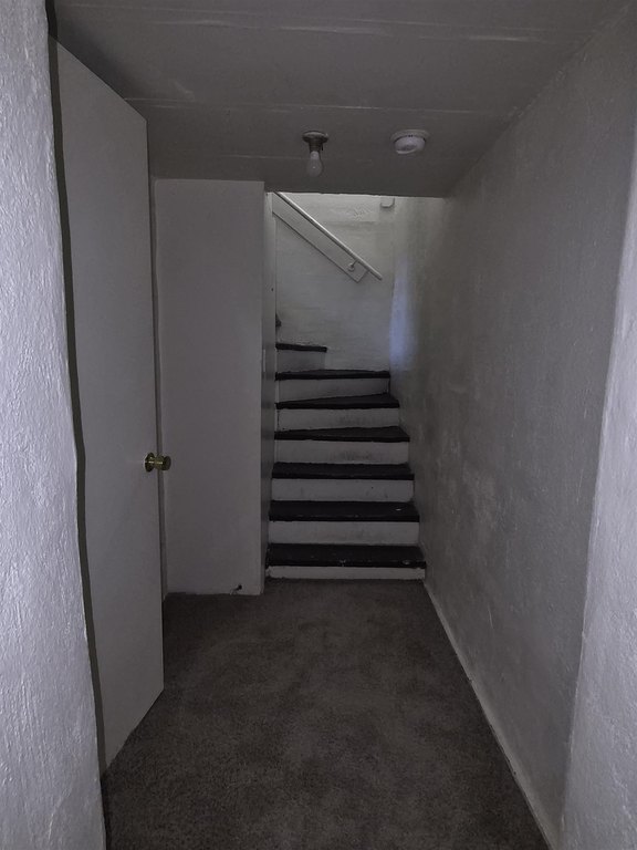Picture 31