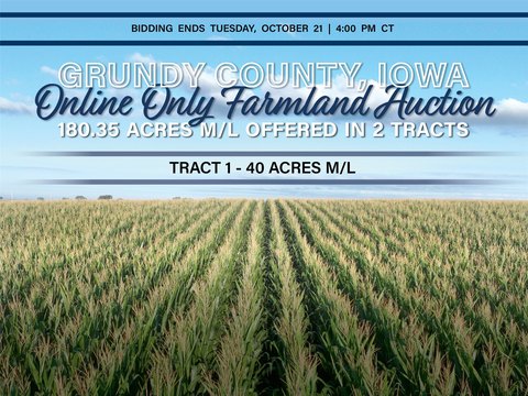 Grundy County Farmland Auction