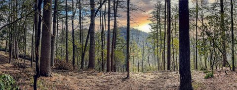 Land with Mountain Views