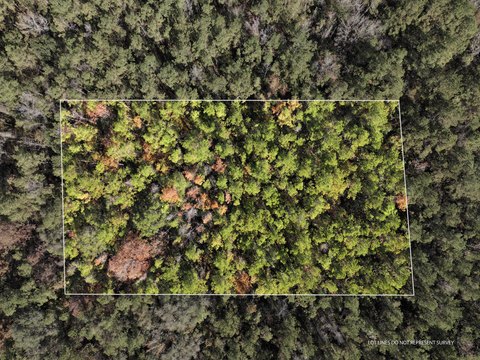 Land Near Leaf River