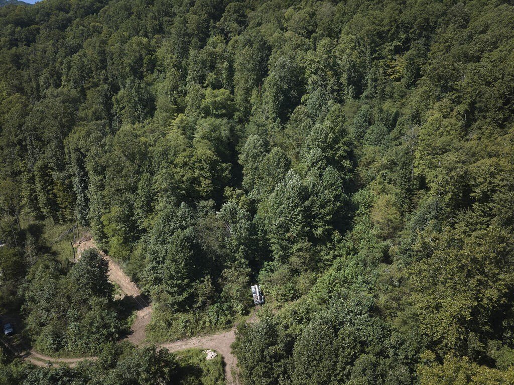 Picture 14