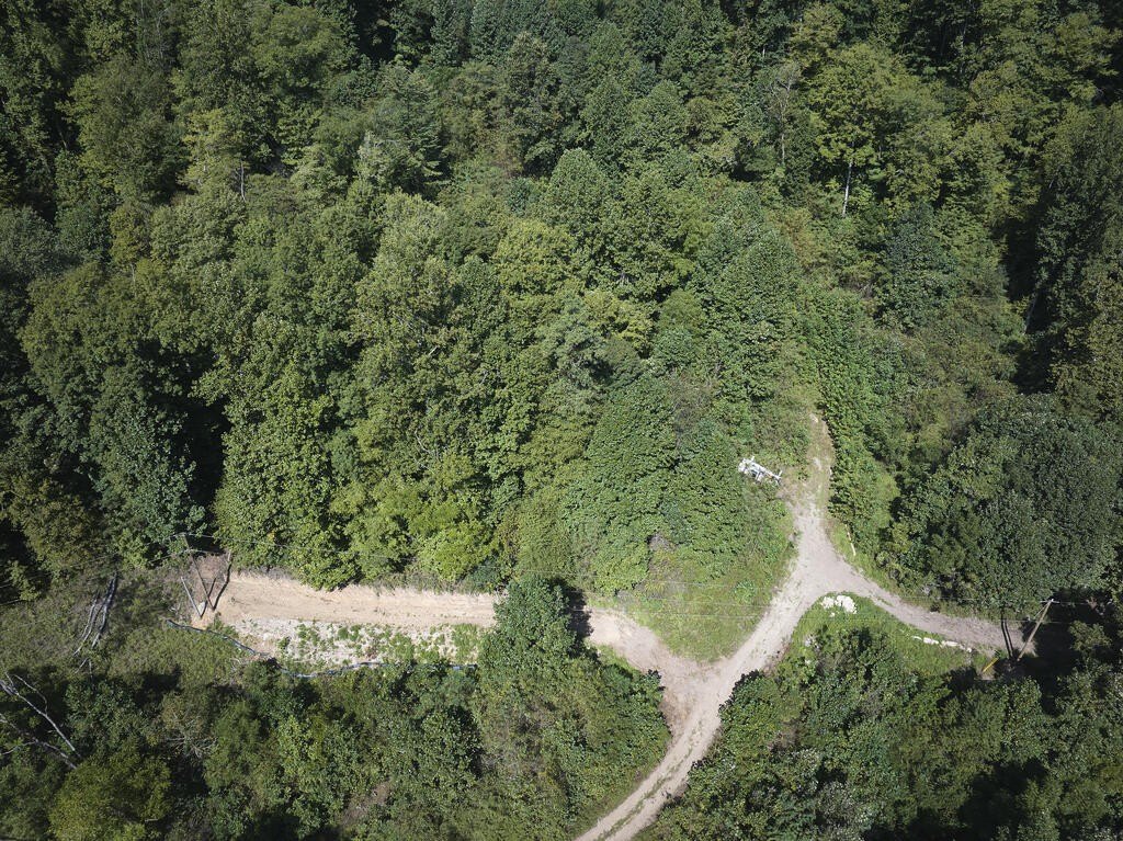 Picture 13