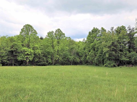 Land Near Blue Ridge Parkway