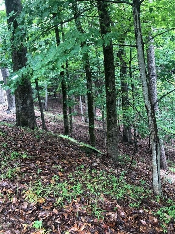 Big Canoe Buildable Lot