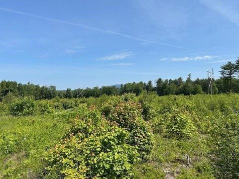 Rural Land Tract with Mountain Views
