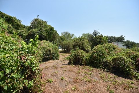 Land, Mathis, TX