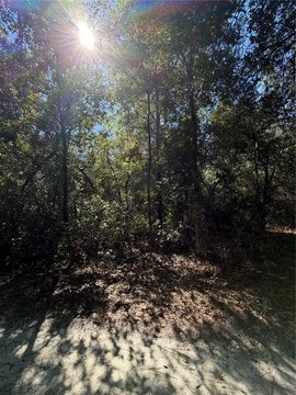 Land, DUNNELLON, FL