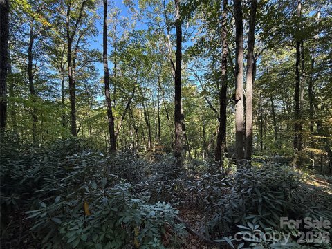 Land, Flat Rock, NC