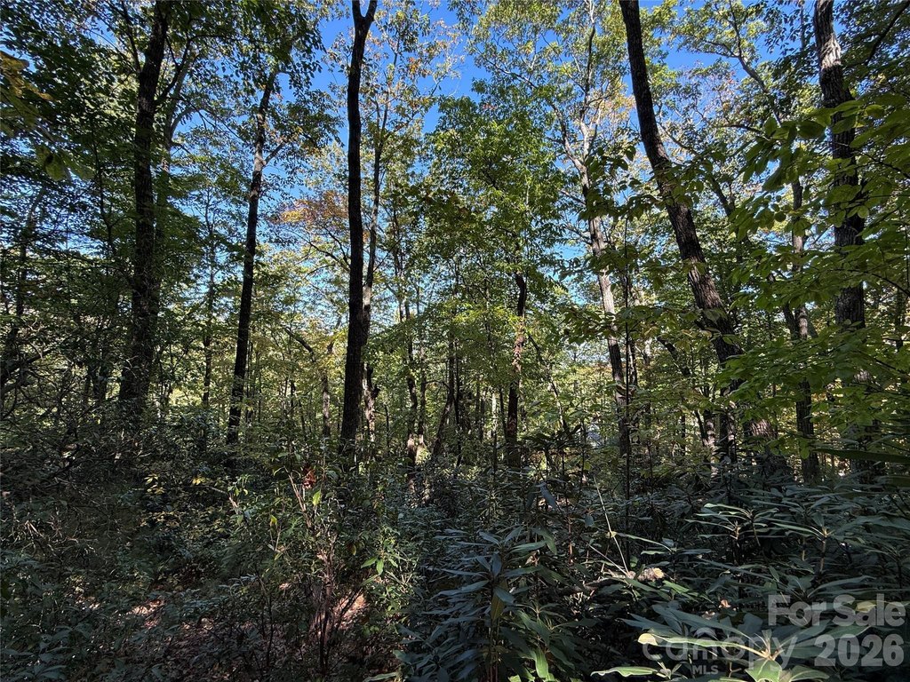 Picture 23