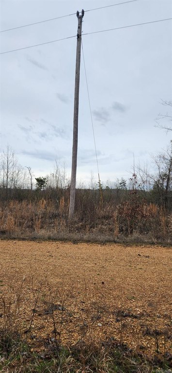 Picture 4
