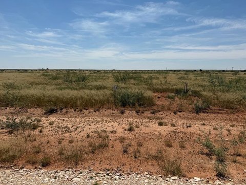 Land For Sale, Andrews, TX