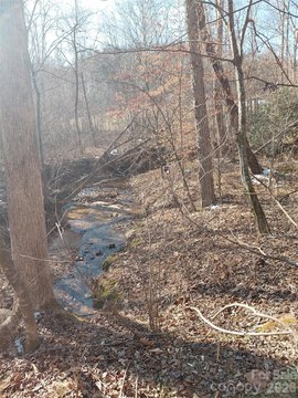 Wooded Lot with Flowing Creek