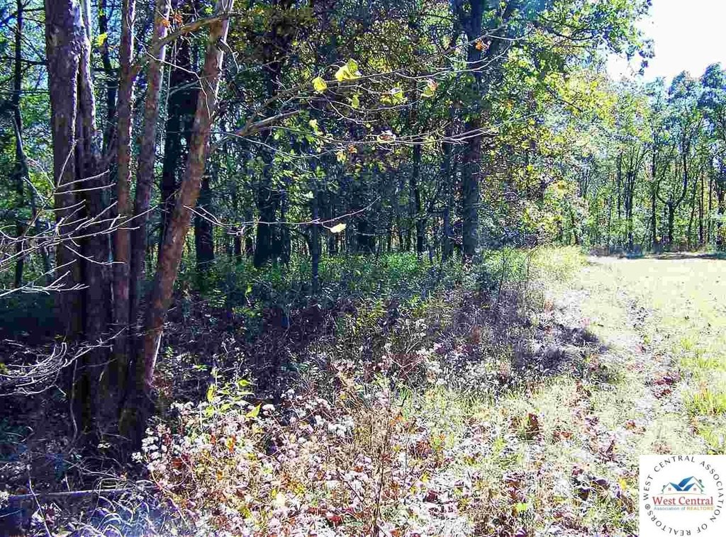 Picture 5