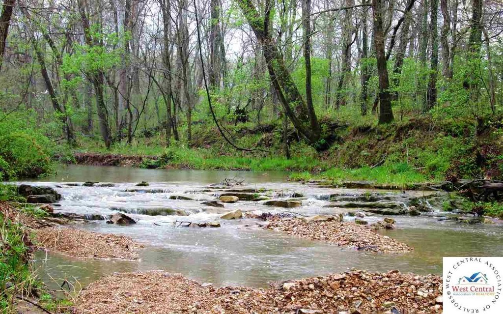 Picture 19