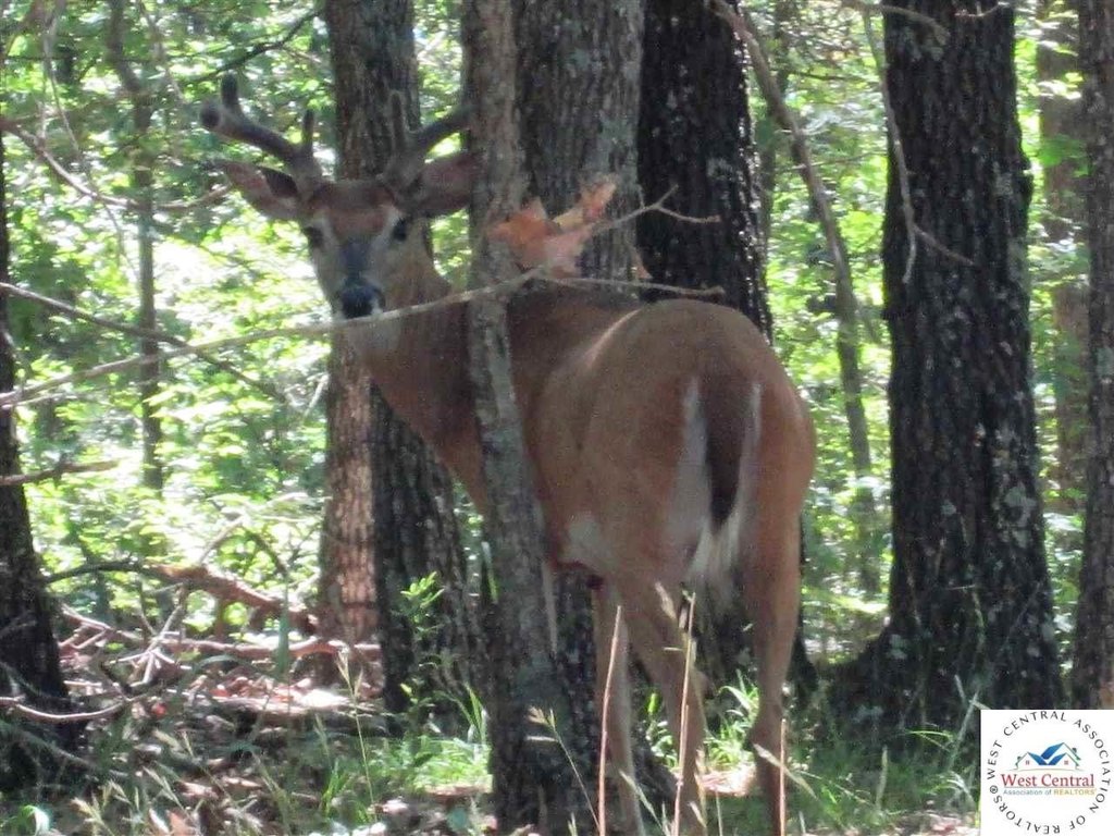 Picture 18