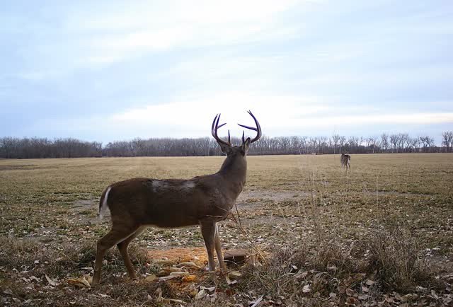Picture 11
