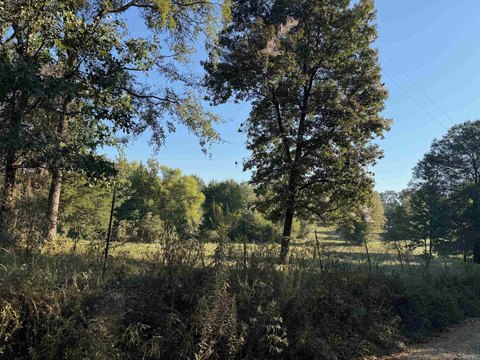 Cove, AR Rural Land