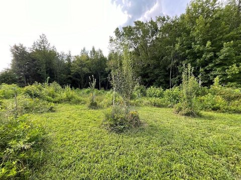 Residential Land Lot in Subdivision