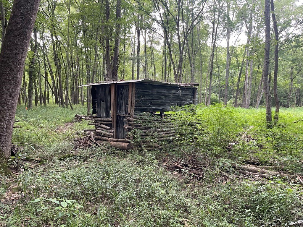 Picture 6