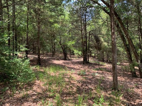 East Texas Land for Sale