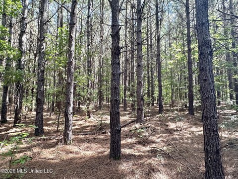 Land, Magee, MS